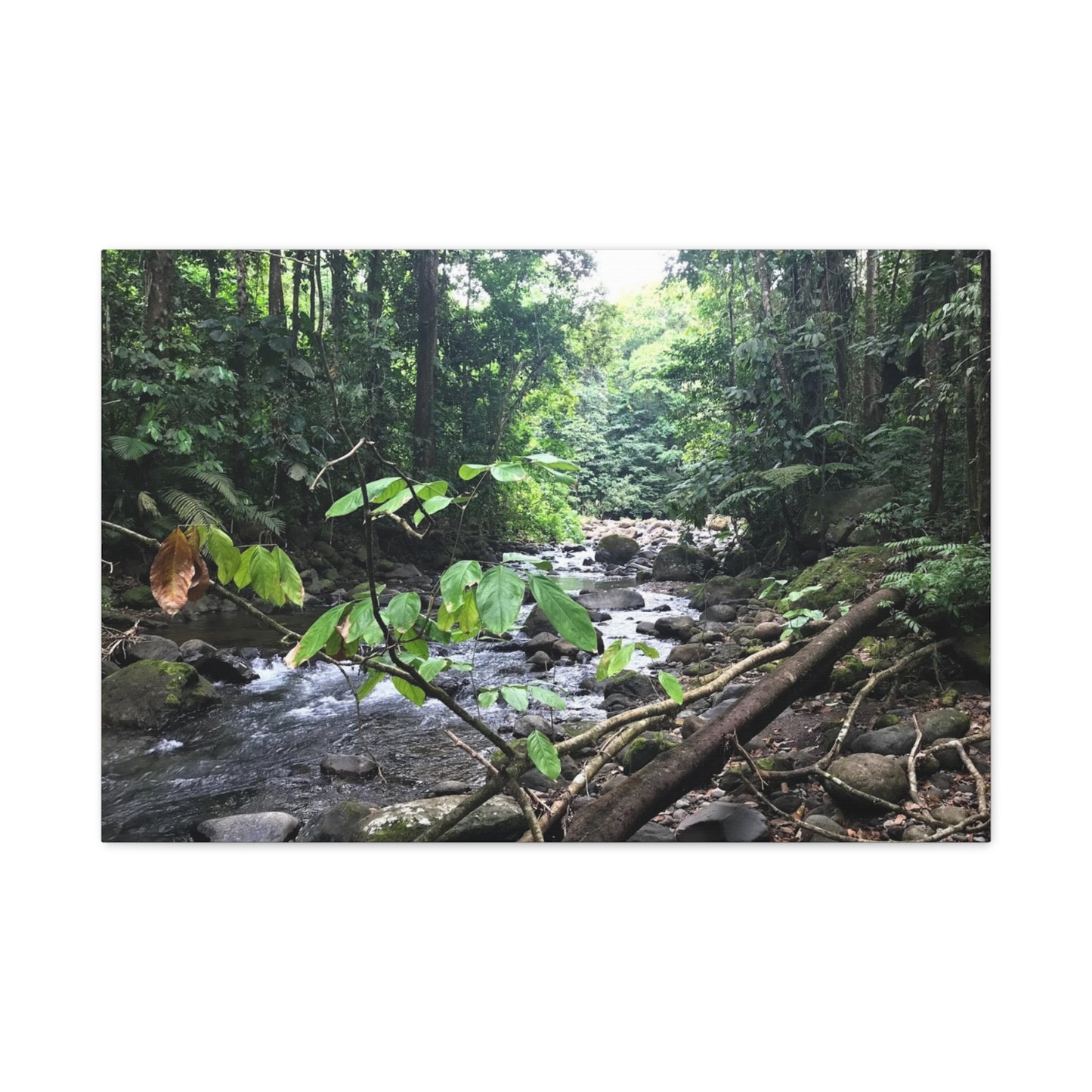 Nature-Inspired Matte Canvas Wall Art - Serene River Scene