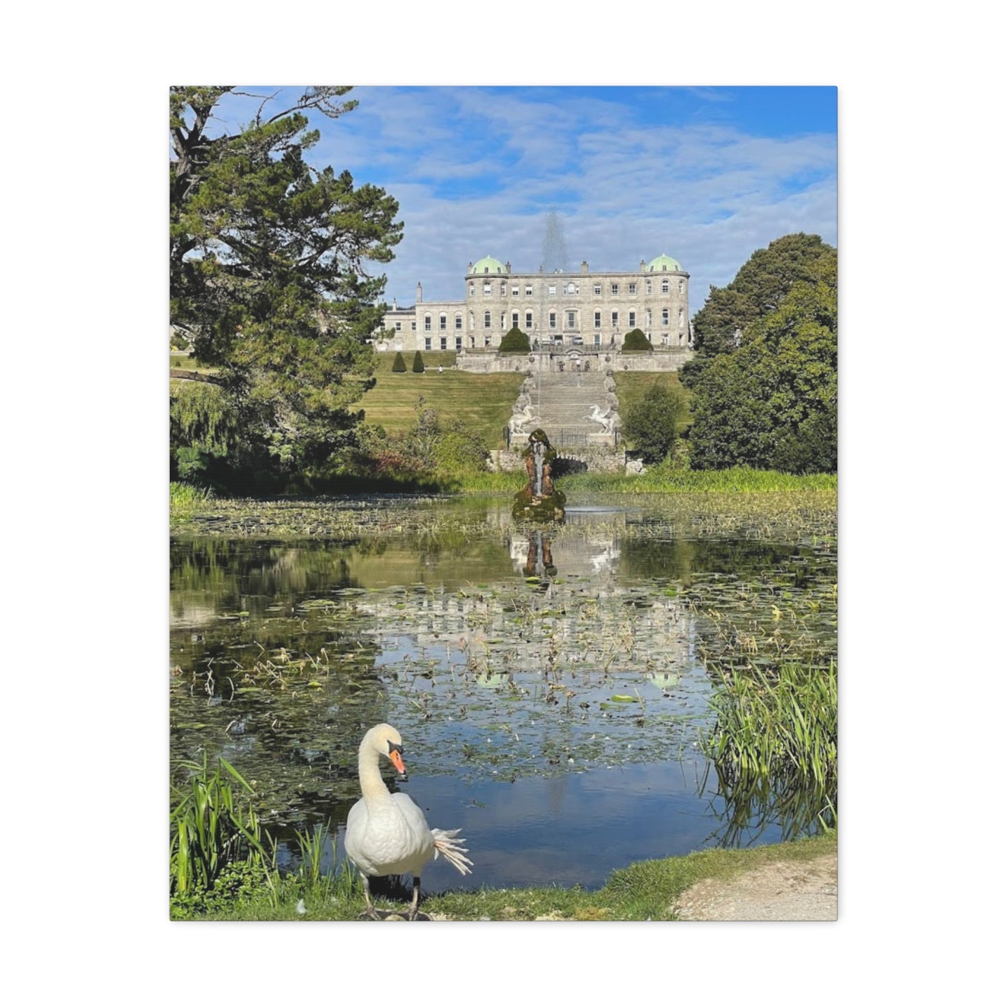 Stretched Matte Canvas Print - Serene Swan Reflection in Nature Powerscourt Estate, Wicklow Ireland