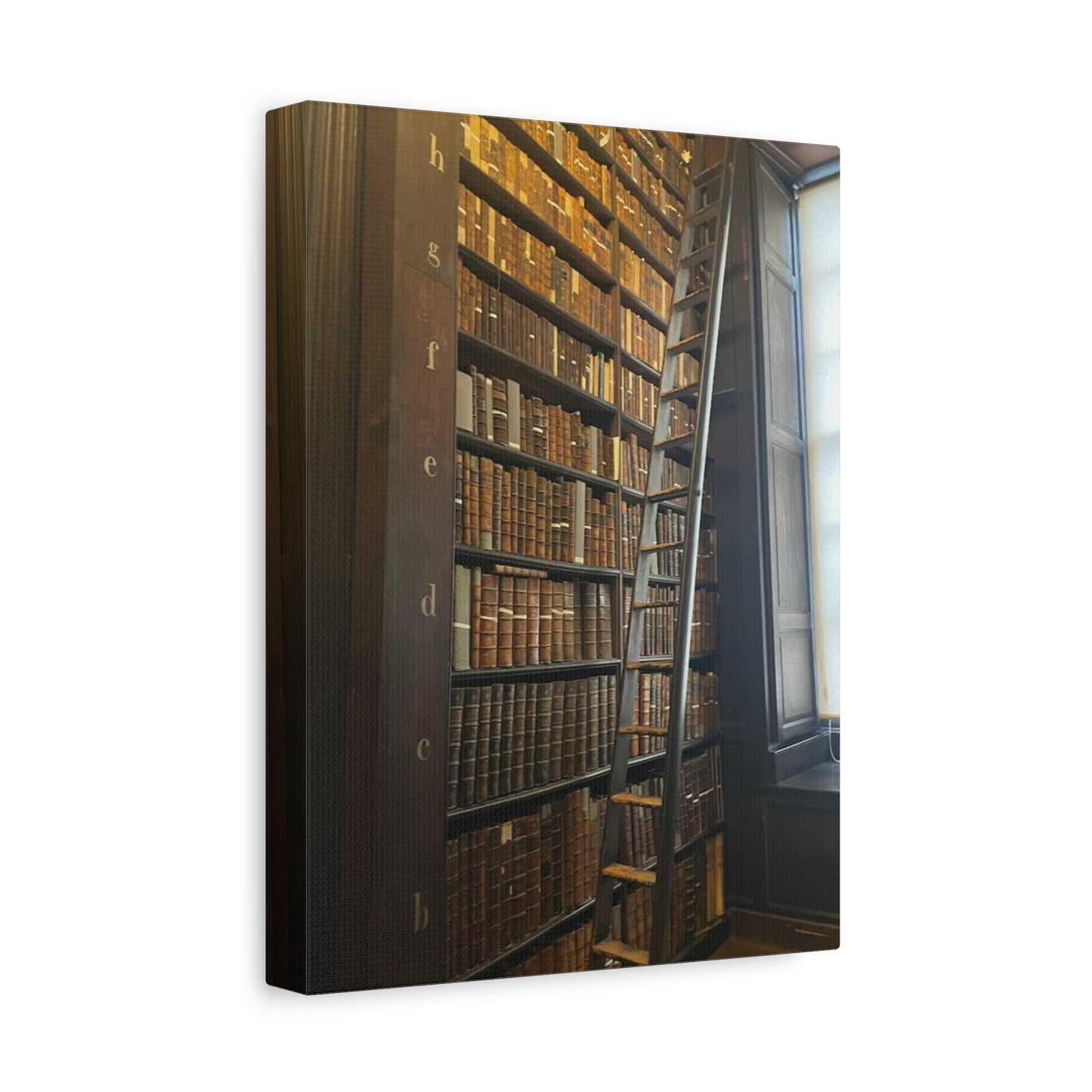 Library Wall Art | Vintage Bookcase Canvas Print - Trinity College Long Room