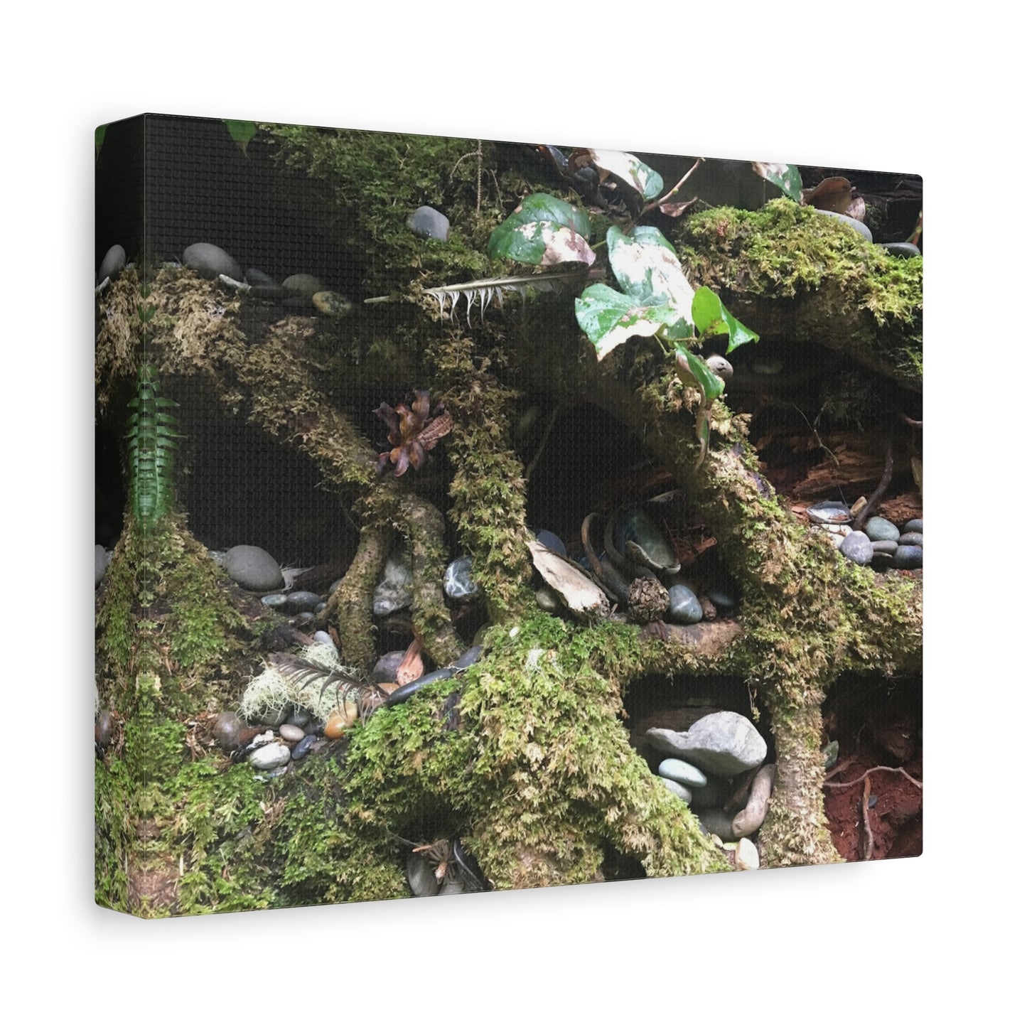 Nature-Inspired Matte Canvas Wall Art - Serene Root and Stone Design