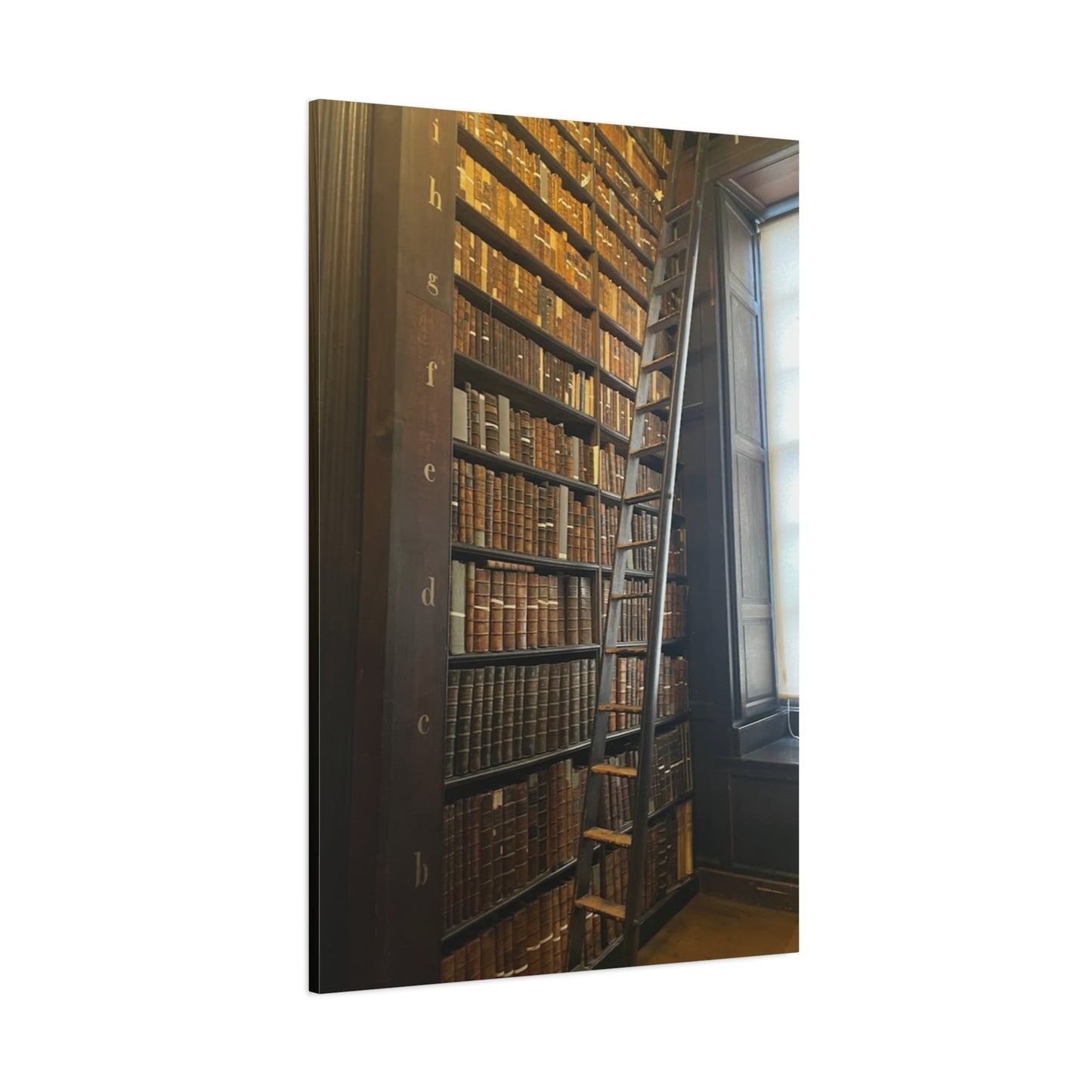 Library Wall Art | Vintage Bookcase Canvas Print - Trinity College Long Room