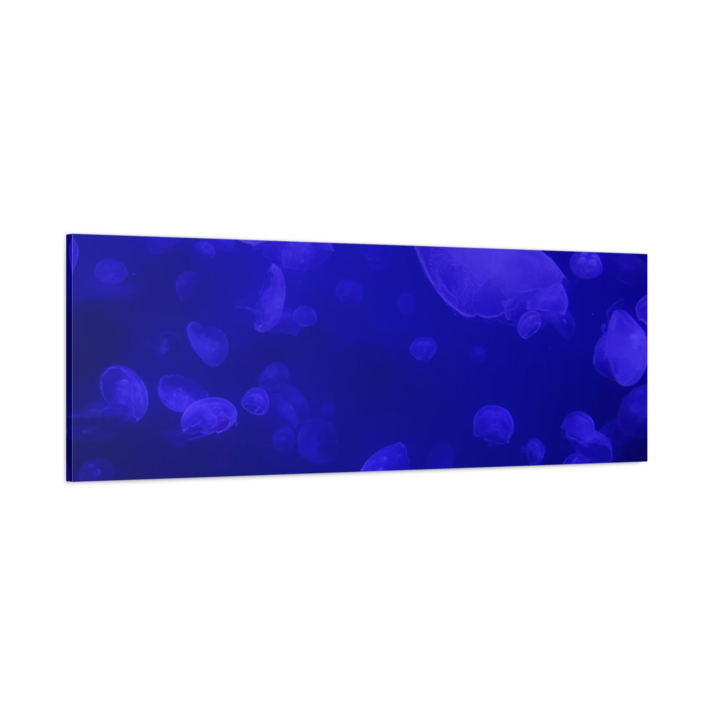Jellyfish Watercolor Canvas Art - Ocean Theme Wall Decor