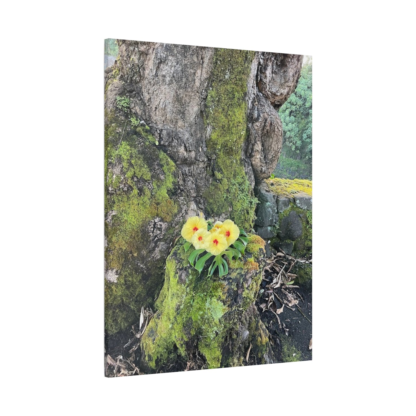 Floral Matte Canvas Art - Yellow Orchid and Moss Decor