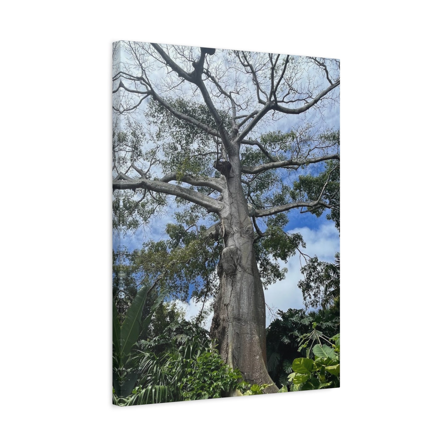 Stretched Canvas Art - Majestic Tree Wall Decor for Nature Lovers