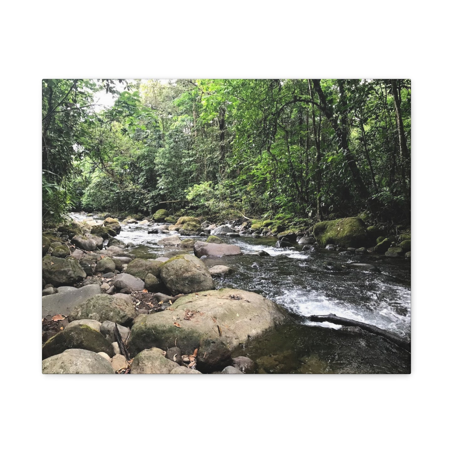 Serene Nature Canvas Wall Art – Tranquil River Landscape, 1.25" Stretched Print