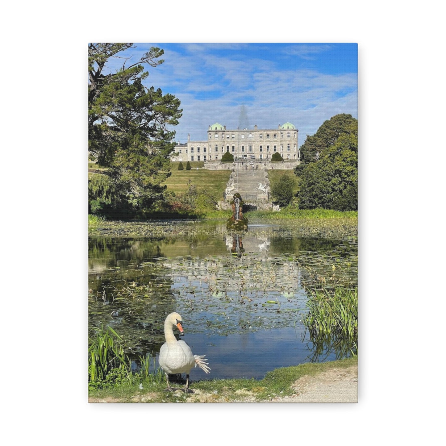 Stretched Matte Canvas Print - Serene Swan Reflection in Nature Powerscourt Estate, Wicklow Ireland