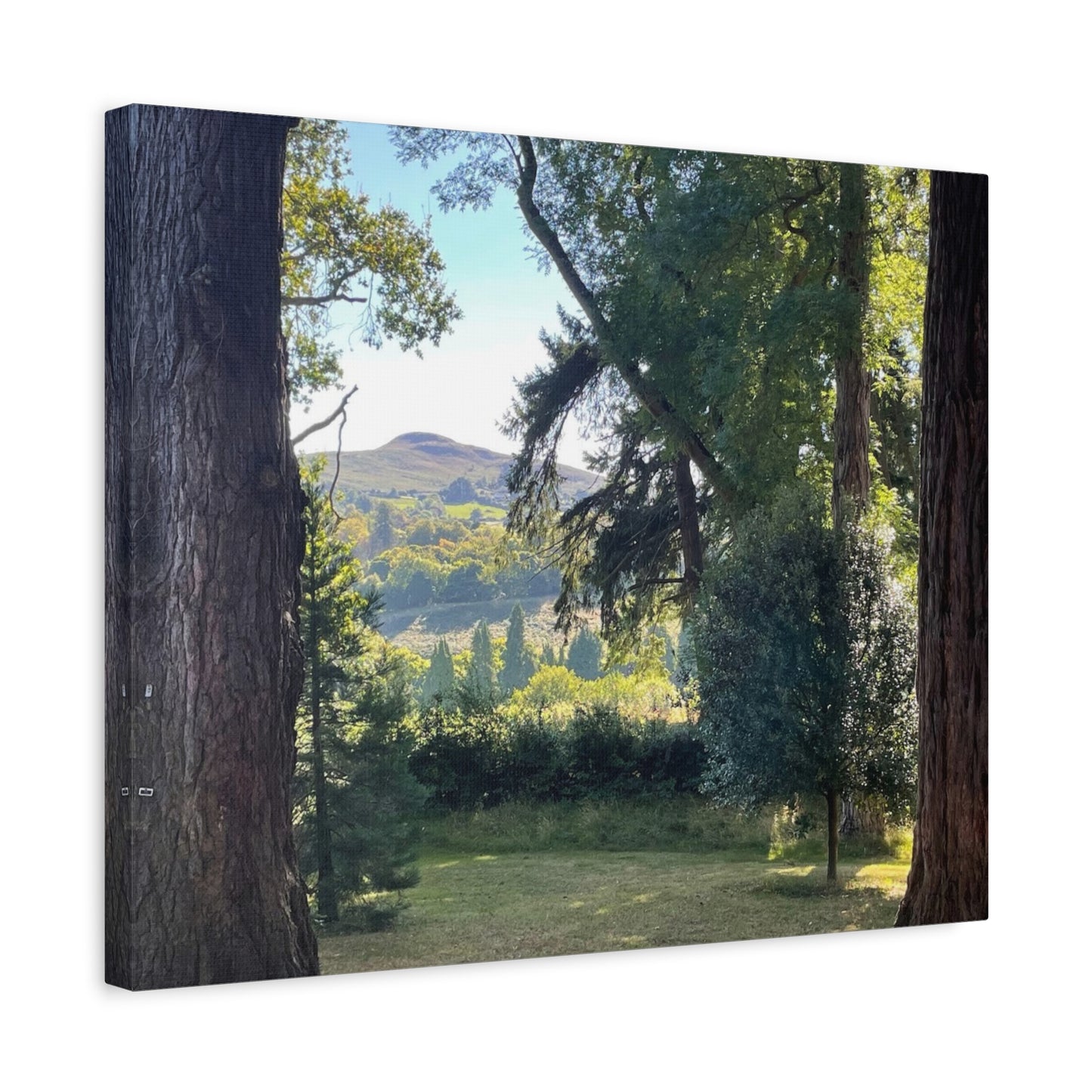 Nature-Inspired Matte Canvas Wall Art - Scenic Landscape Decor