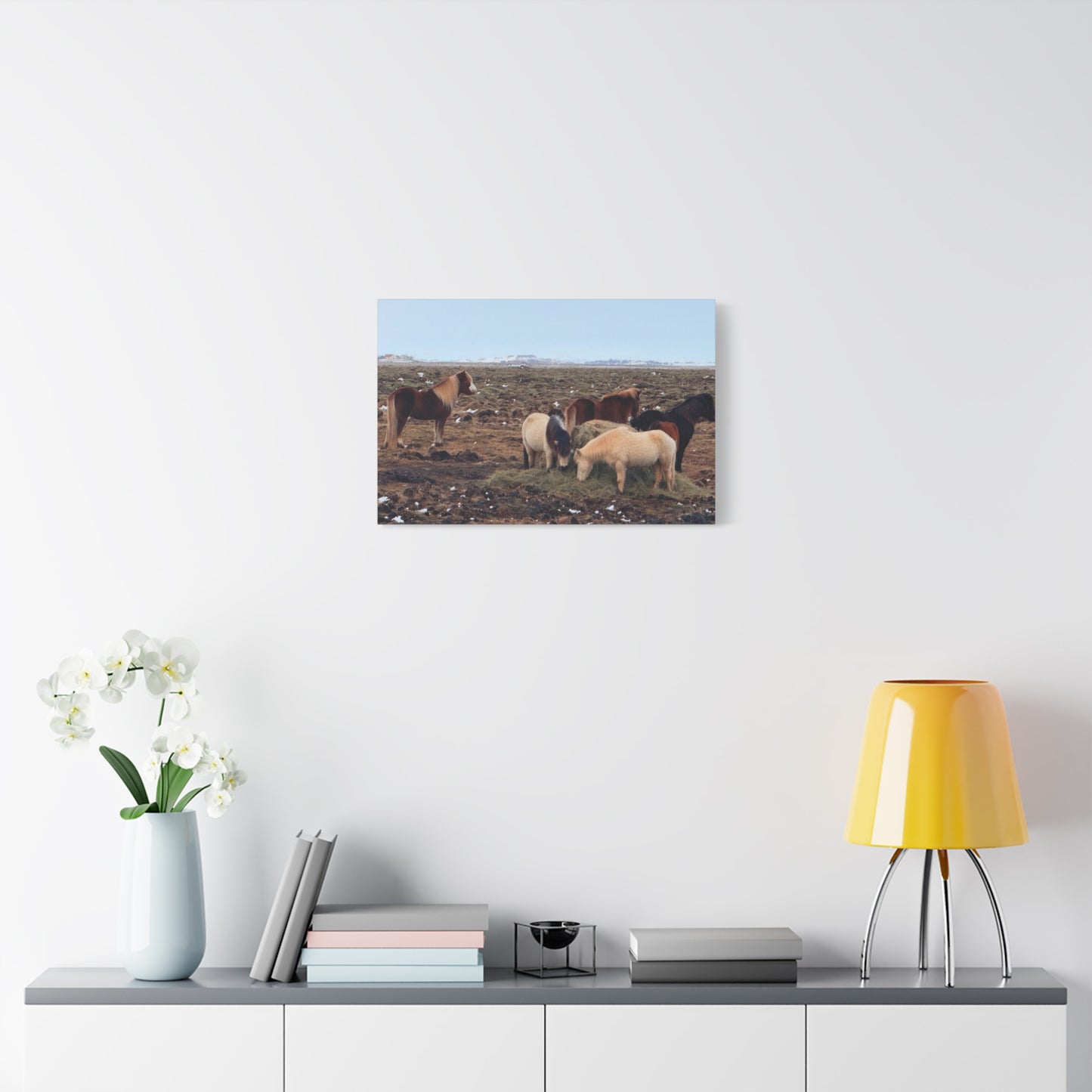 Icelandic Horse Canvas Art - Matte Stretched Print for Animal Lovers