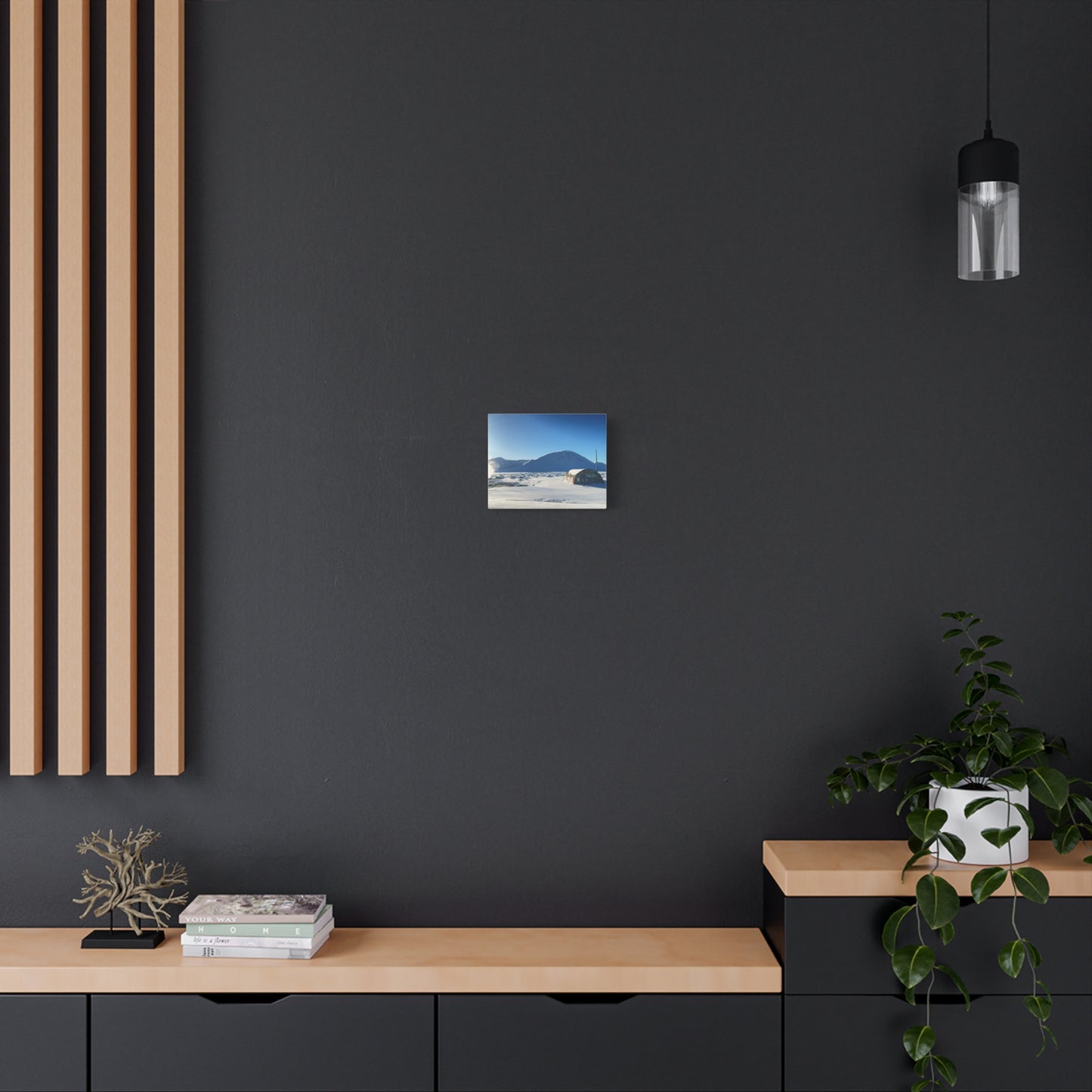 Snow-Covered Landscape Canvas Art - Stretched Matte Print