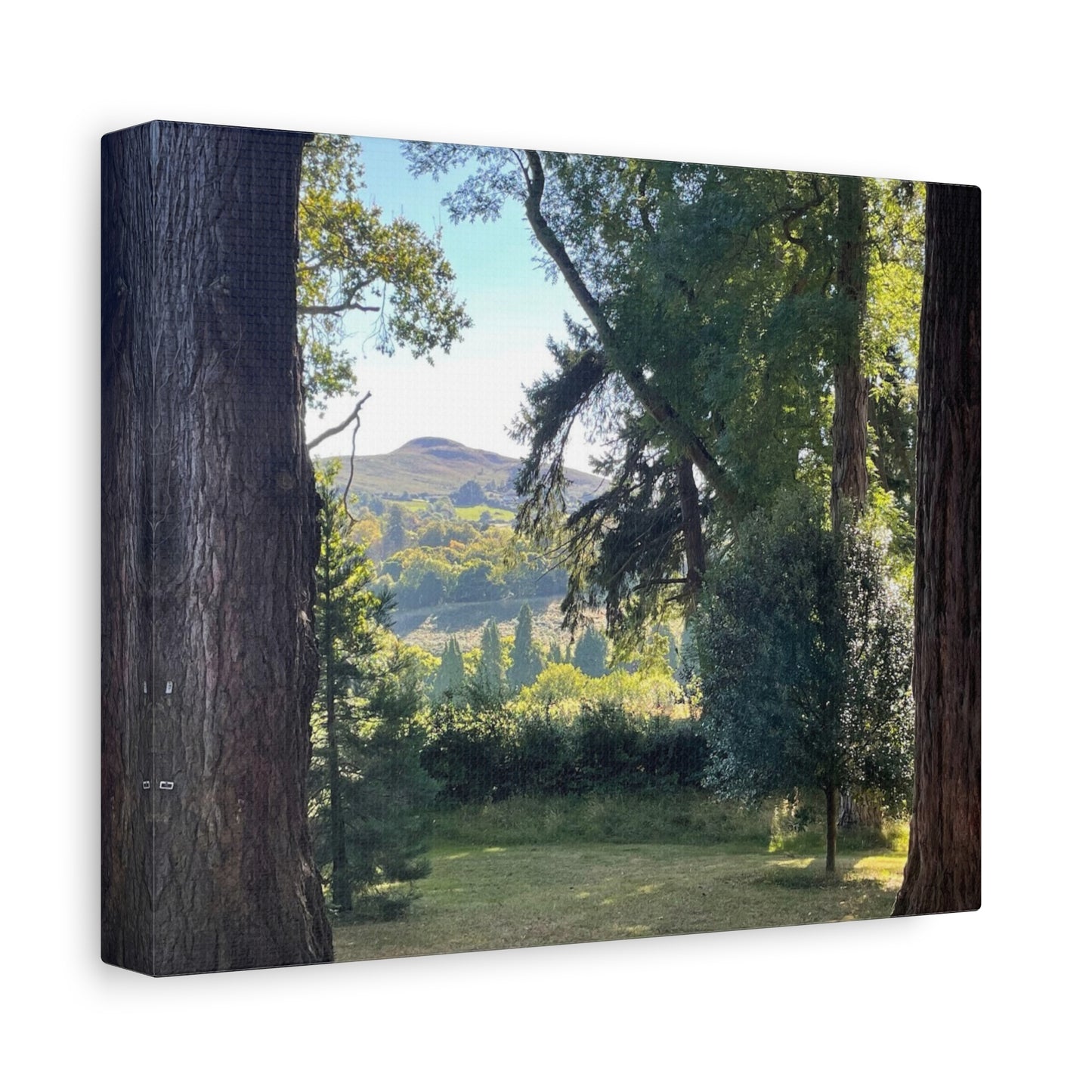 Nature-Inspired Matte Canvas Wall Art - Scenic Landscape Decor
