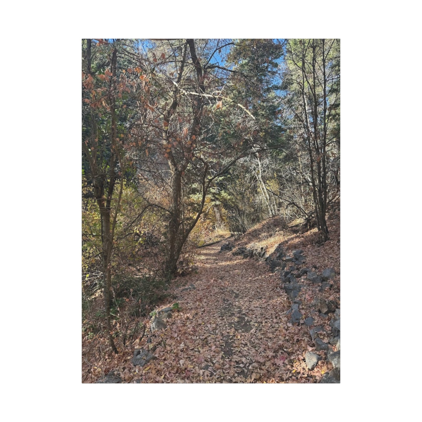 Nature-Inspired Matte Canvas Art - Stretched Wall Decor