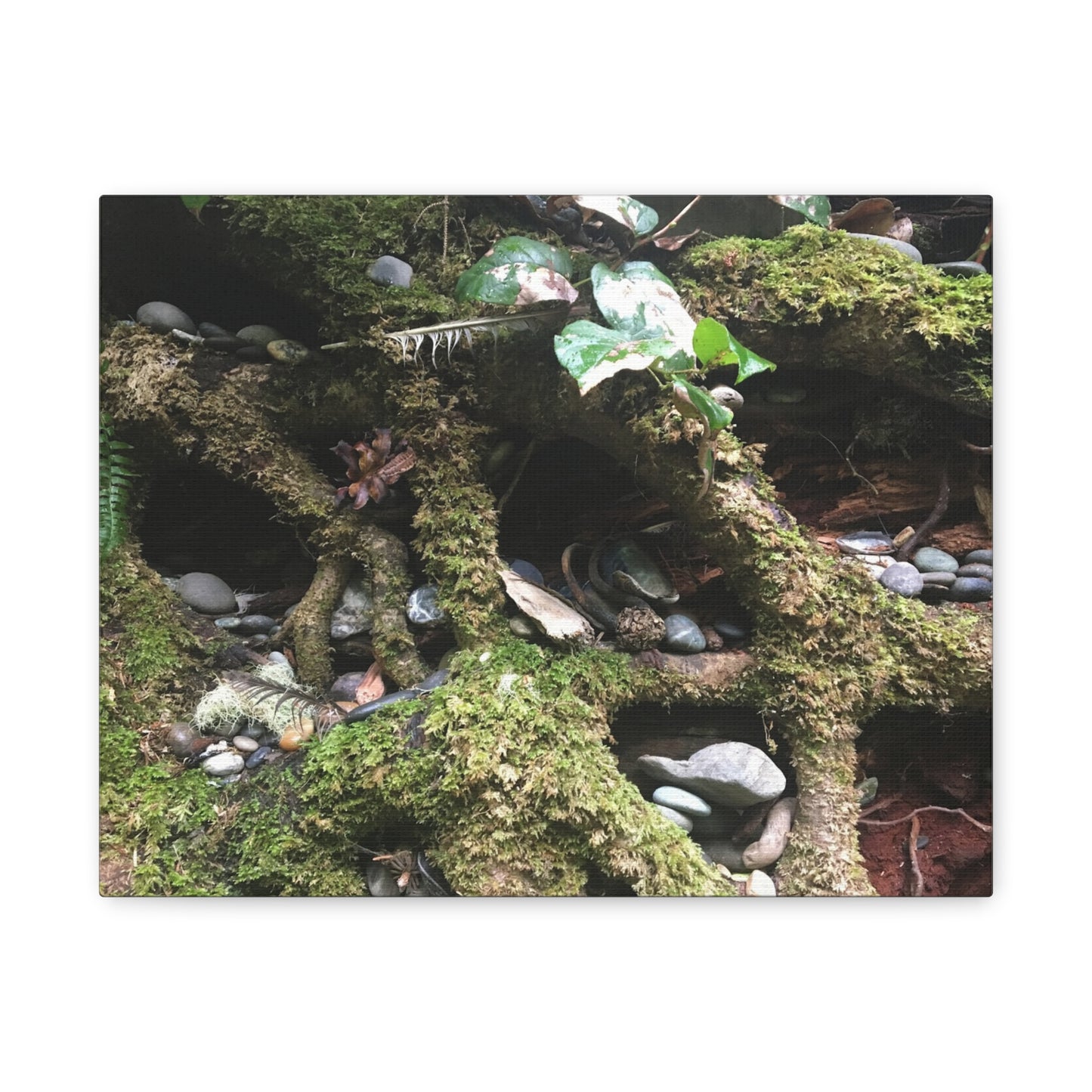 Nature-Inspired Matte Canvas Wall Art - Serene Root and Stone Design