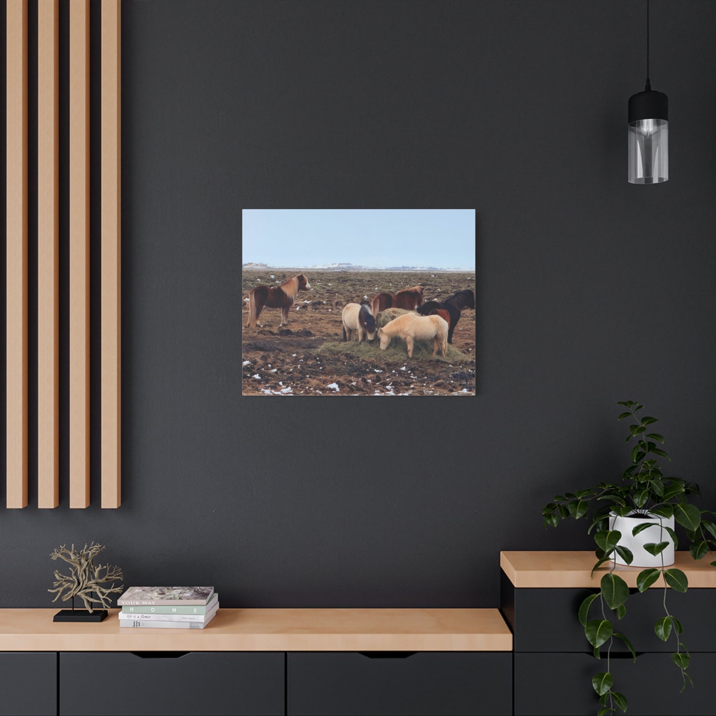 Icelandic Horse Canvas Art - Matte Stretched Print for Animal Lovers