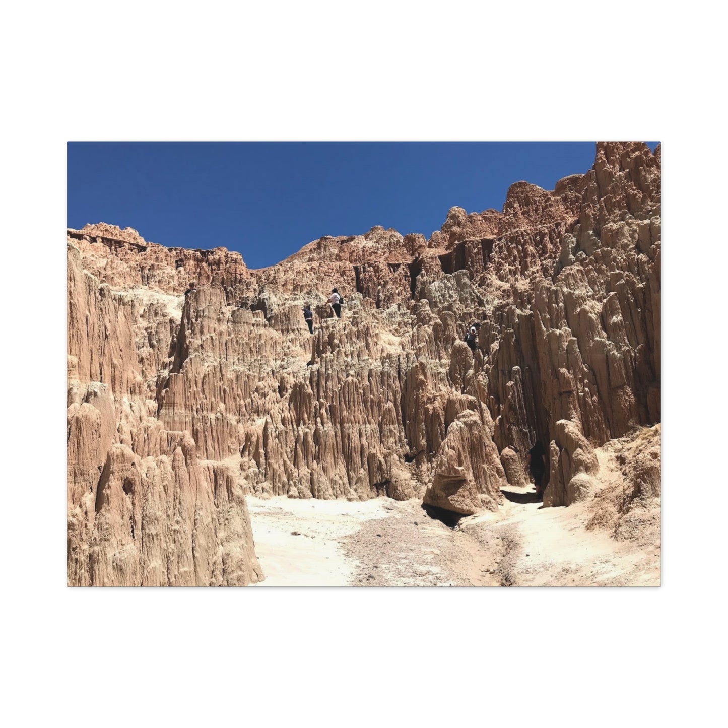 Desert Landscape Canvas Wall Art - Stretched Matte Print