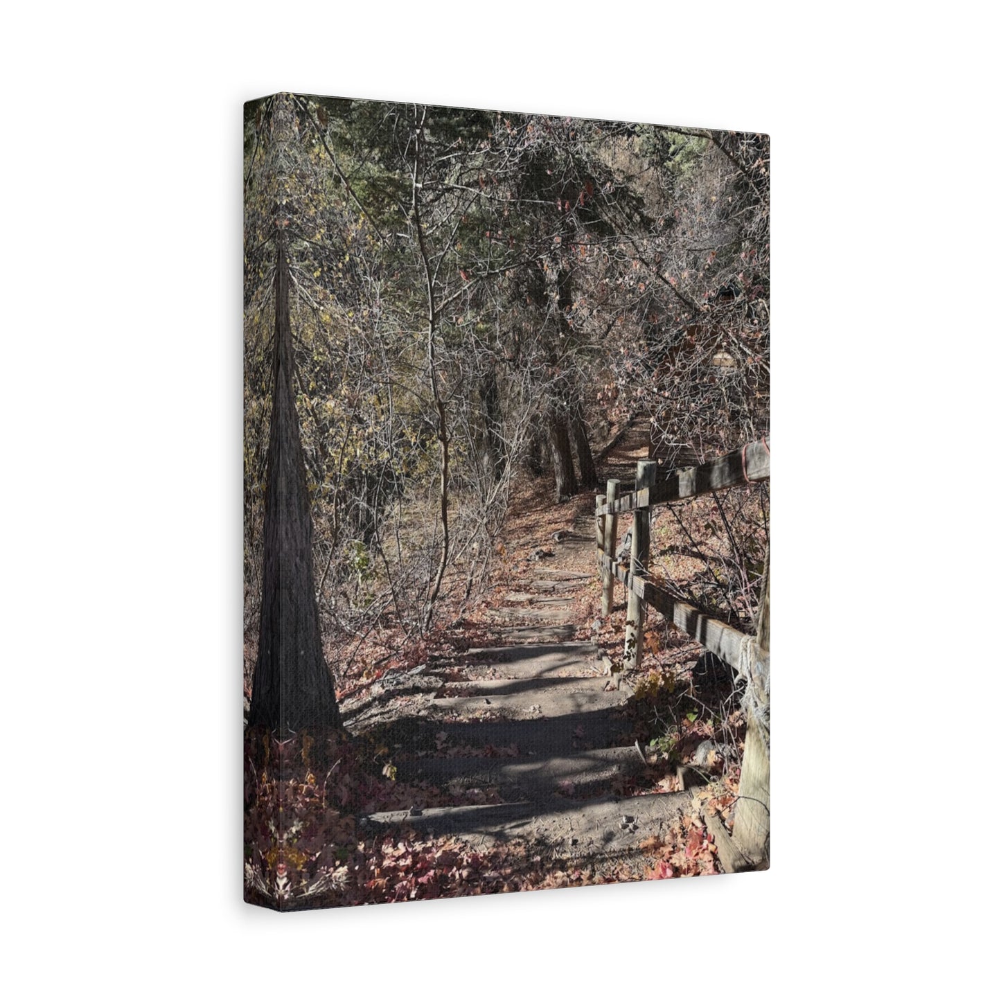 Nature Path Matte Canvas Wall Art - Tranquil Landscape Decor