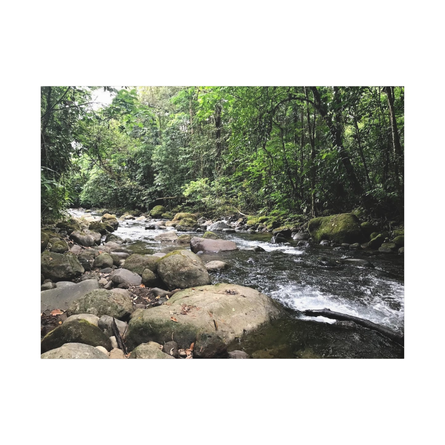 Serene Nature Canvas Wall Art – Tranquil River Landscape, 1.25" Stretched Print