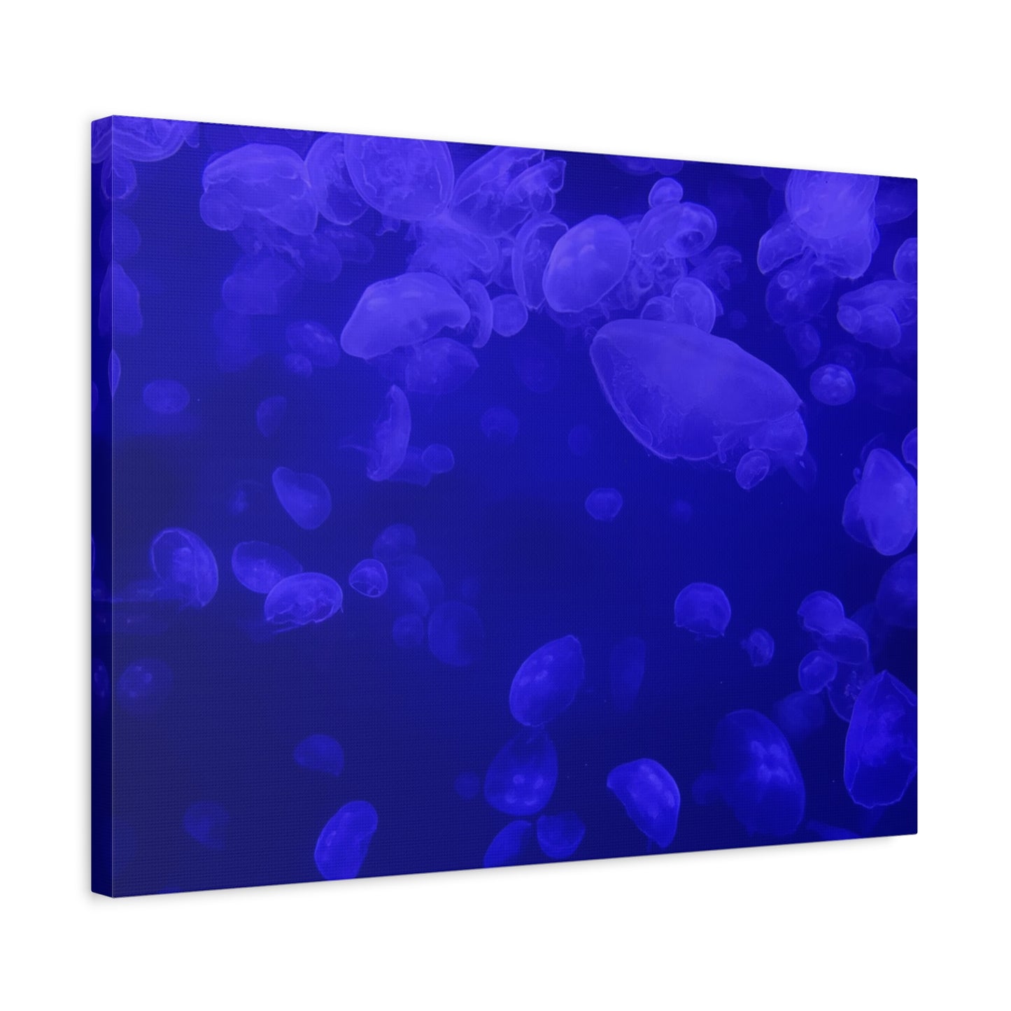 Jellyfish Watercolor Canvas Art - Ocean Theme Wall Decor