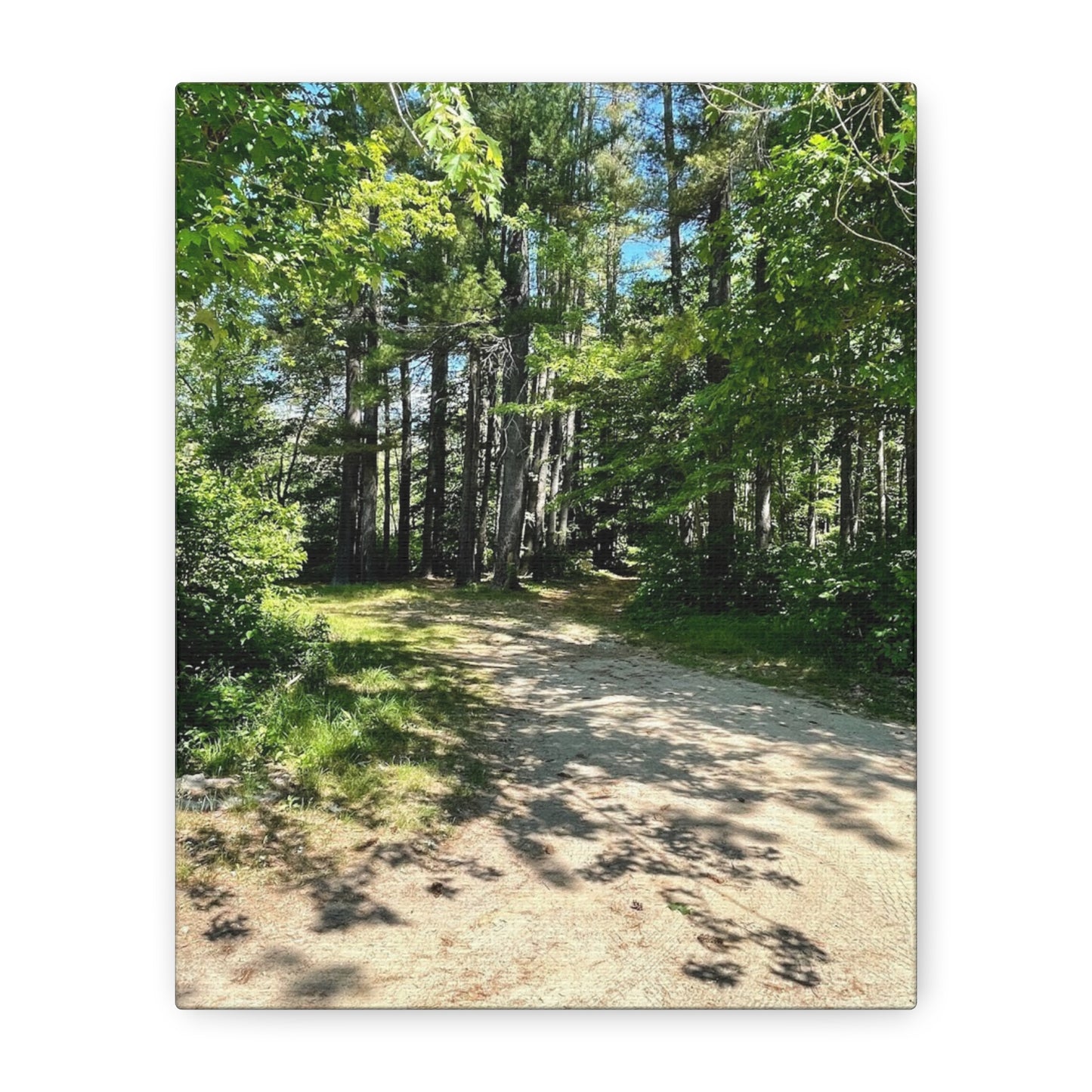 Serene Forest Path Canvas Wall Art - Tranquil Nature Decor for Home