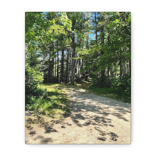 Serene Forest Path Canvas Wall Art - Tranquil Nature Decor for Home