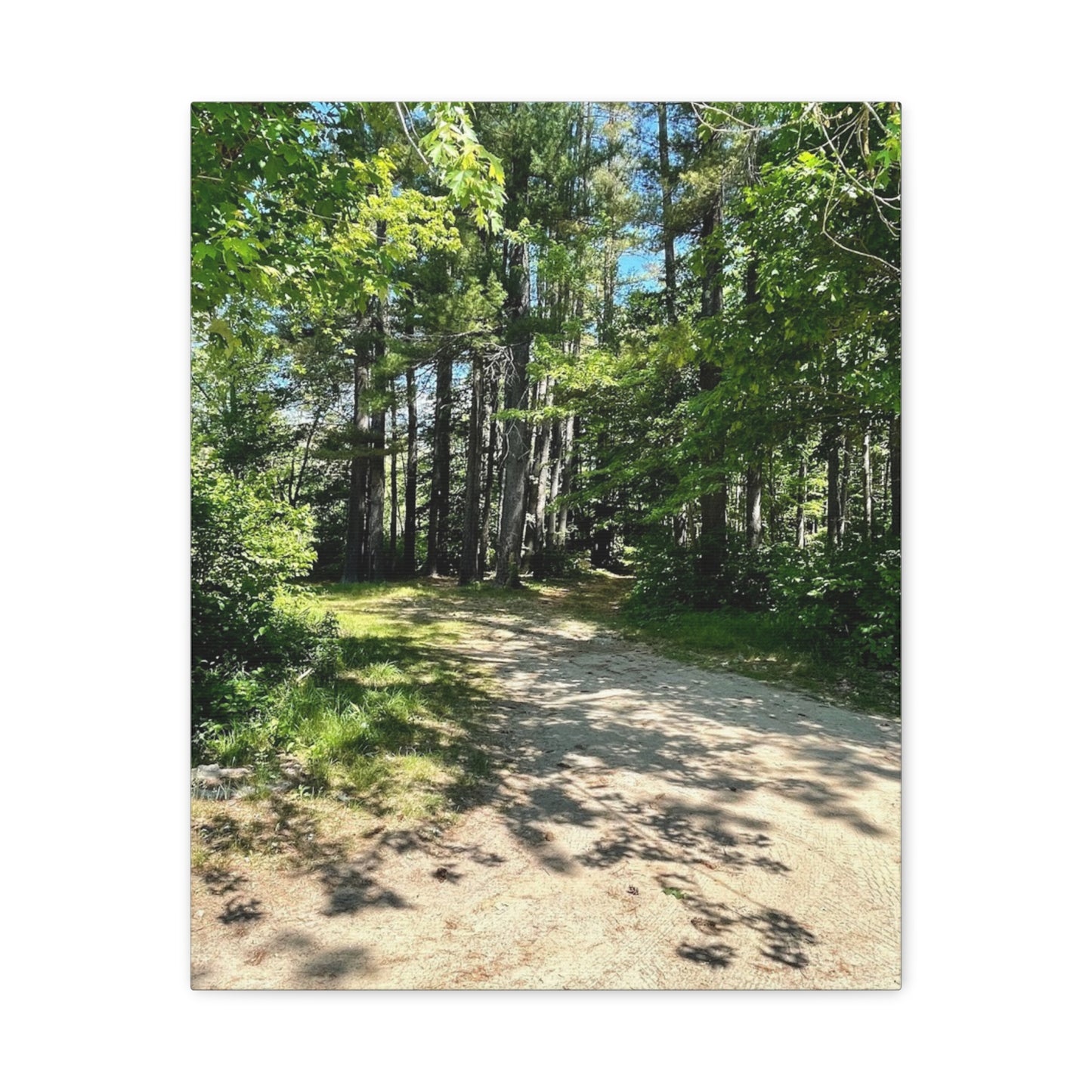 Serene Forest Path Canvas Wall Art - Tranquil Nature Decor for Home