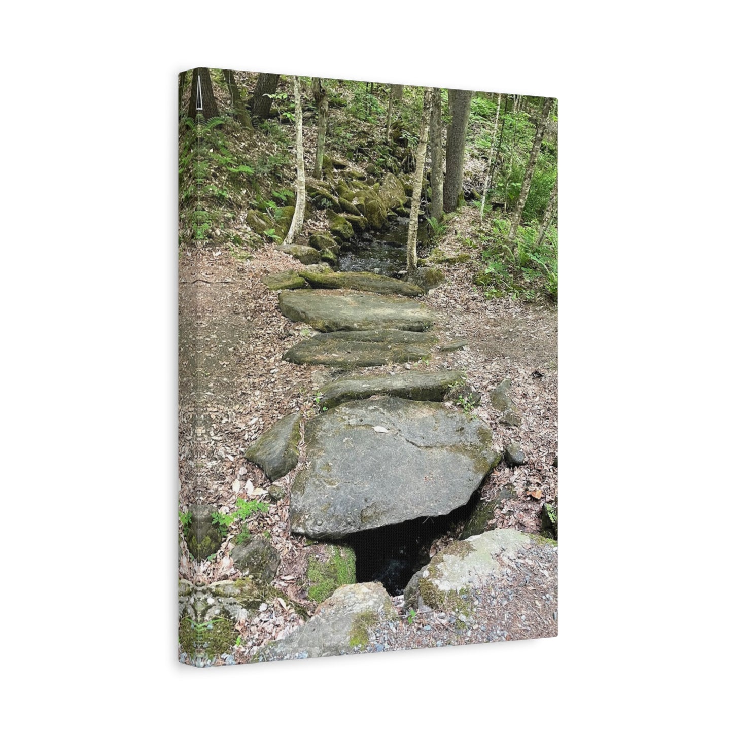 Nature-Inspired Stretched Canvas Art - Serene Stream Pathway Décor
