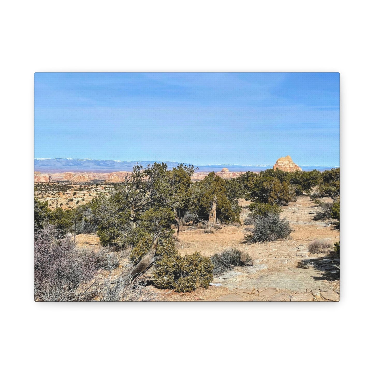 Desert Landscape Canvas Wall Art – 1.25" Matte Stretched Decor for Nature Lovers