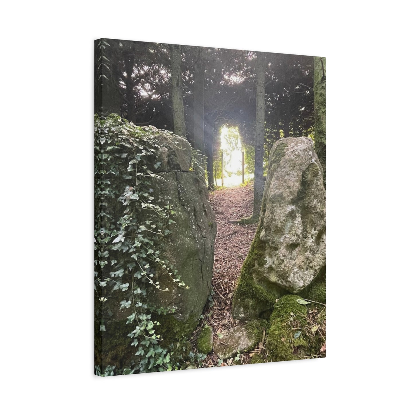 Serene Nature Wall Art Canvas – Tranquil Forest Scene for Home Decor