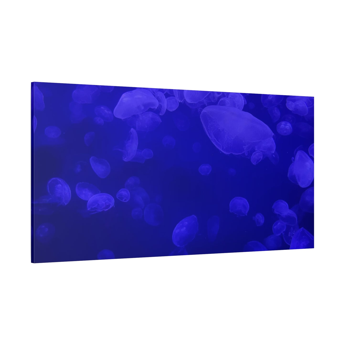 Jellyfish Watercolor Canvas Art - Ocean Theme Wall Decor
