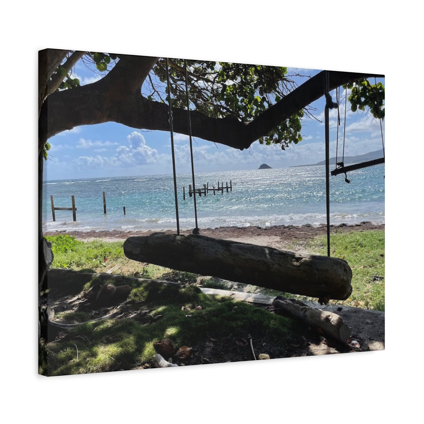 Serene Beach Swing Canvas Art Print