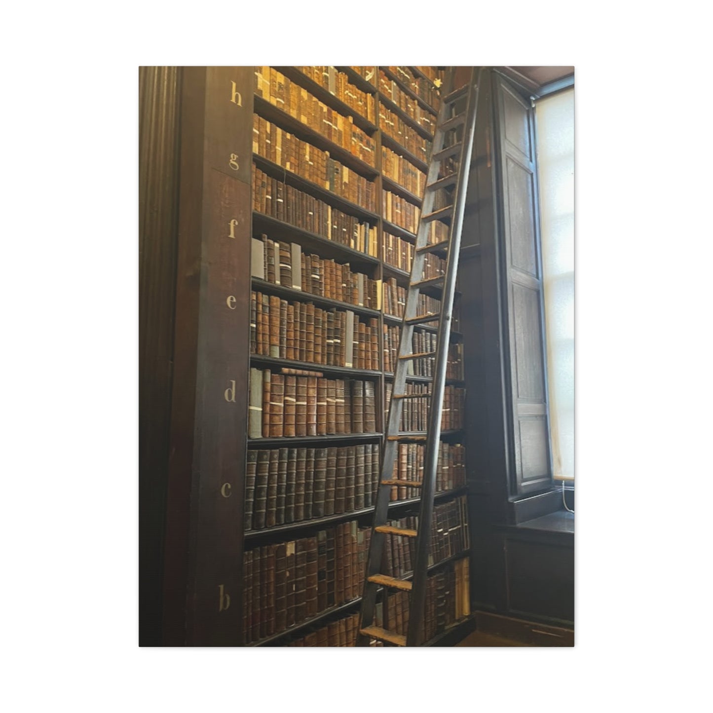 Library Wall Art | Vintage Bookcase Canvas Print - Trinity College Long Room