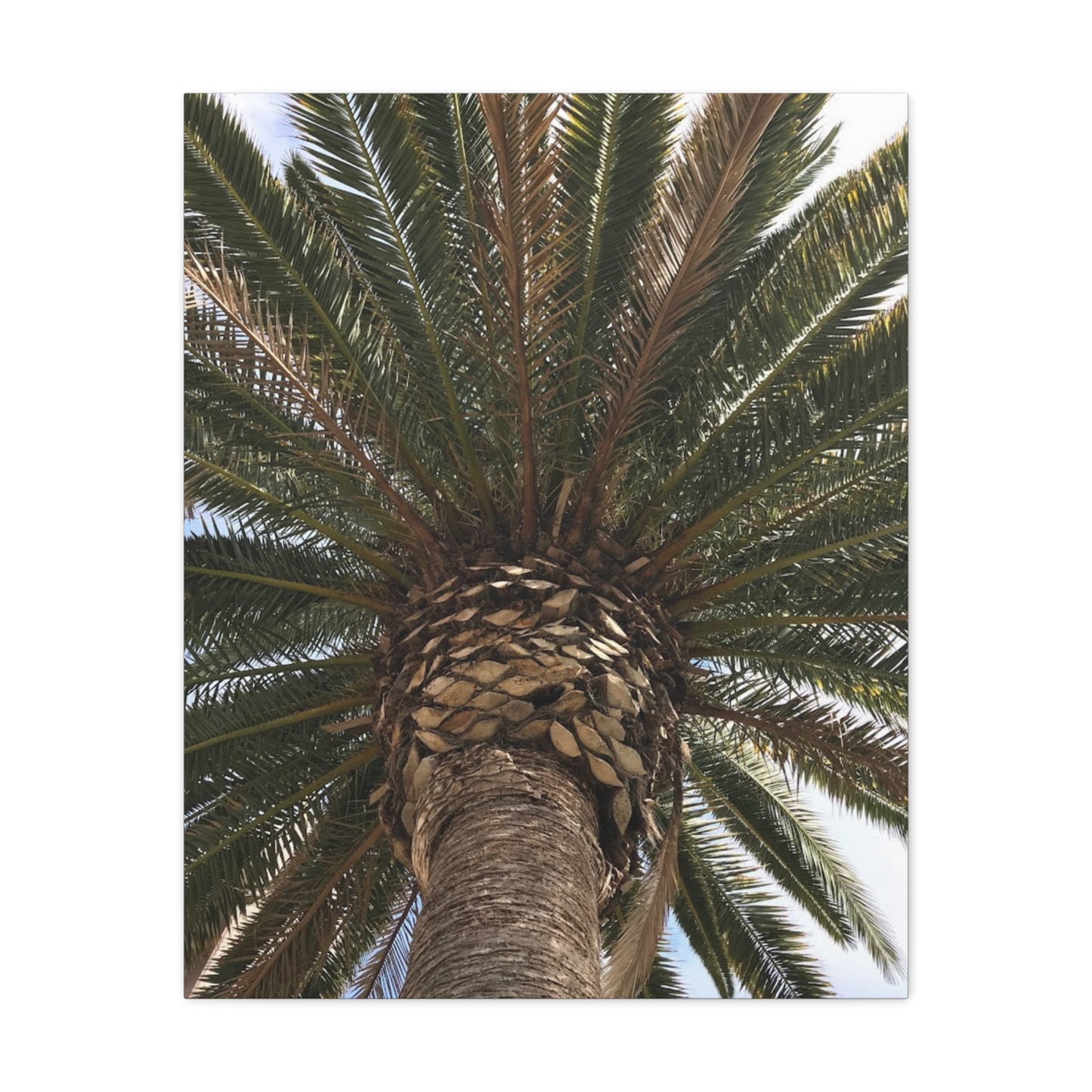 Tropical Palm Tree Canvas Art - Stretched Wall Decor for Home or Office