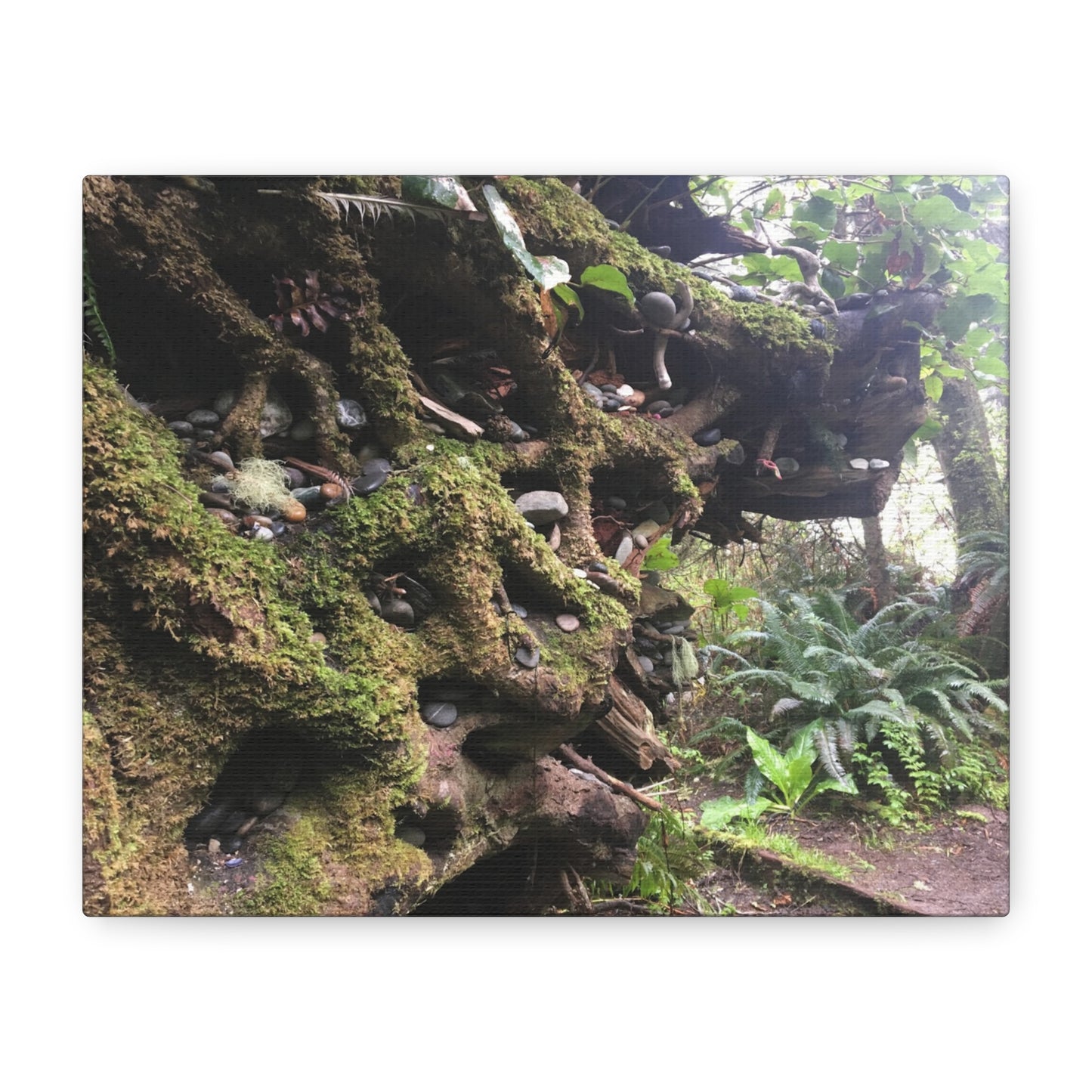 Nature-Inspired Stretched Canvas Art: Enchanted Forest Vibes
