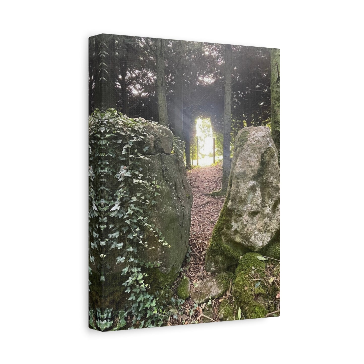 Serene Nature Wall Art Canvas – Tranquil Forest Scene for Home Decor