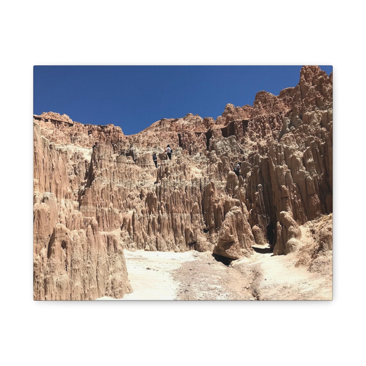 Desert Landscape Canvas Wall Art - Stretched Matte Print