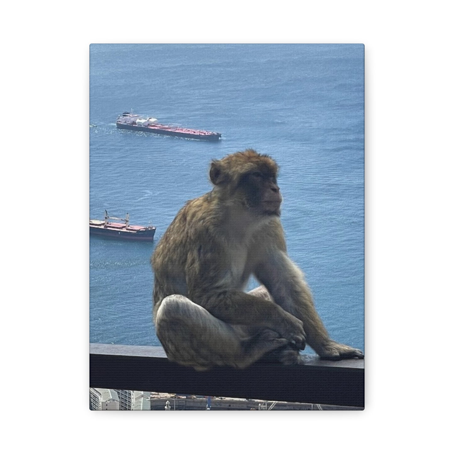 Monkeys by the Sea Canvas Art Print - Relaxing Coastal Decor Gibraltar