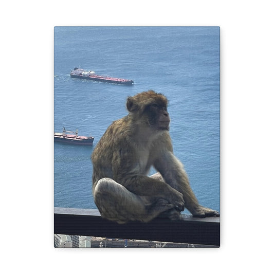 Monkeys by the Sea Canvas Art Print - Relaxing Coastal Decor Gibraltar