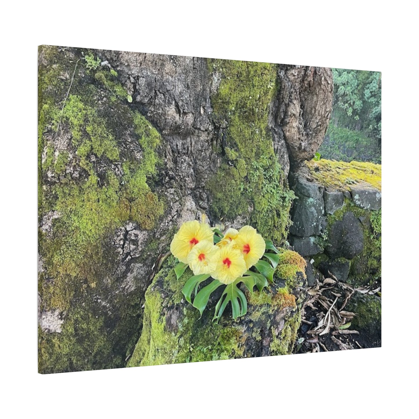 Floral Matte Canvas Art - Yellow Orchid and Moss Decor