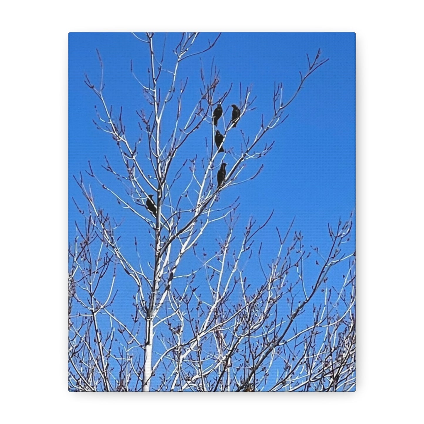 Serene Bird Canvas Wall Art - Tranquil Nature Decor for Home and Office