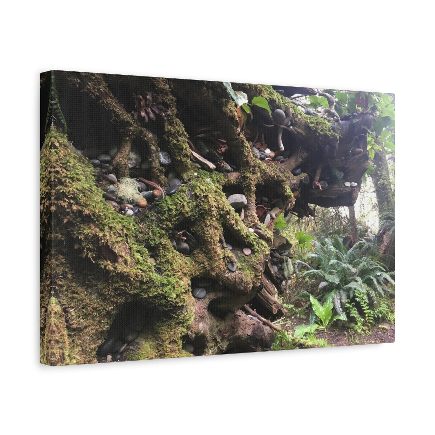 Nature-Inspired Stretched Canvas Art: Enchanted Forest Vibes