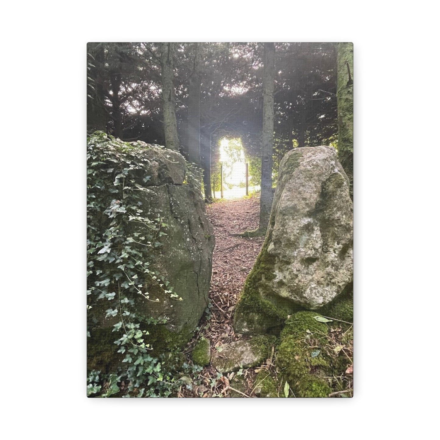 Serene Nature Wall Art Canvas – Tranquil Forest Scene for Home Decor