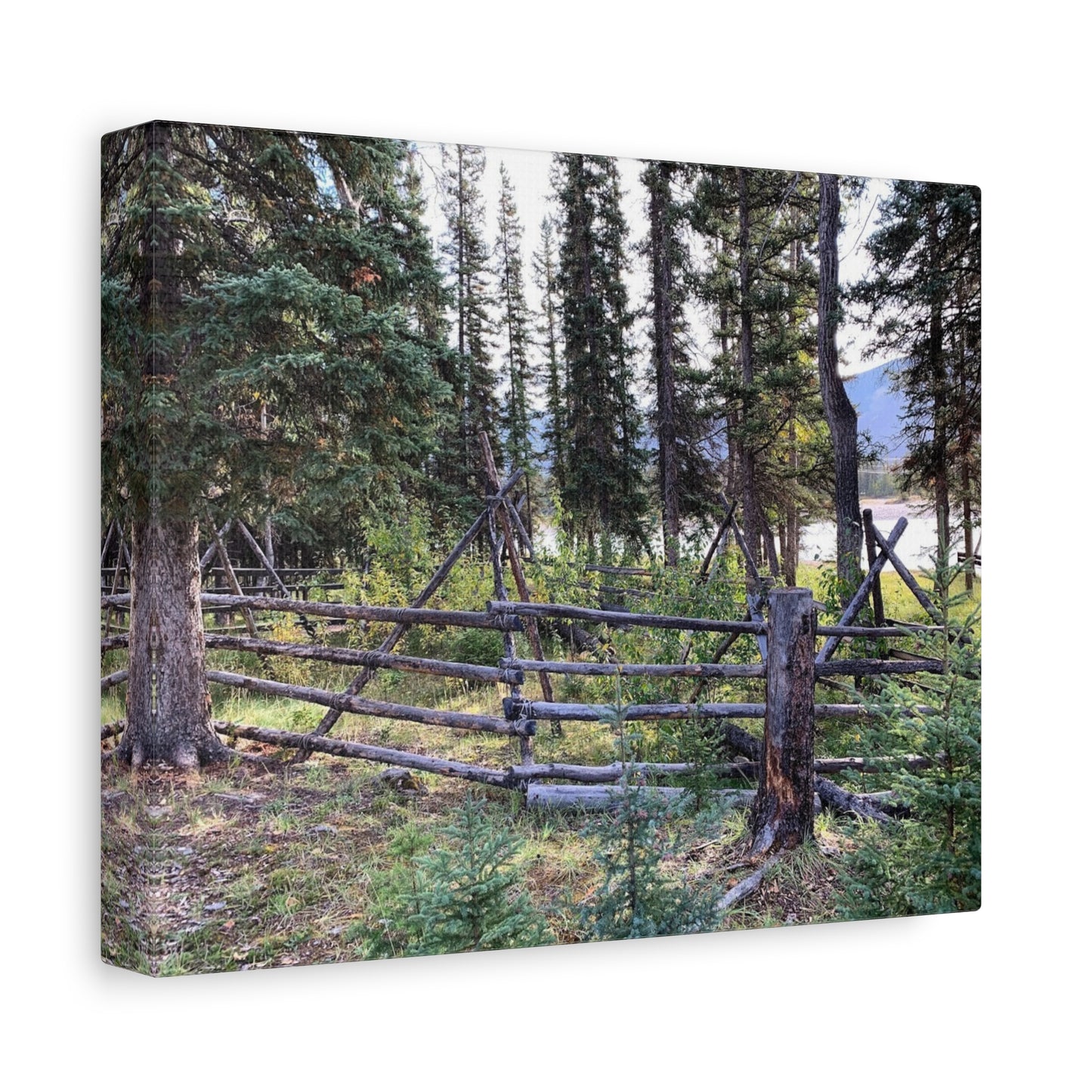 Nature-Inspired Wall Art Canvas Print - Tranquil Forest Scene