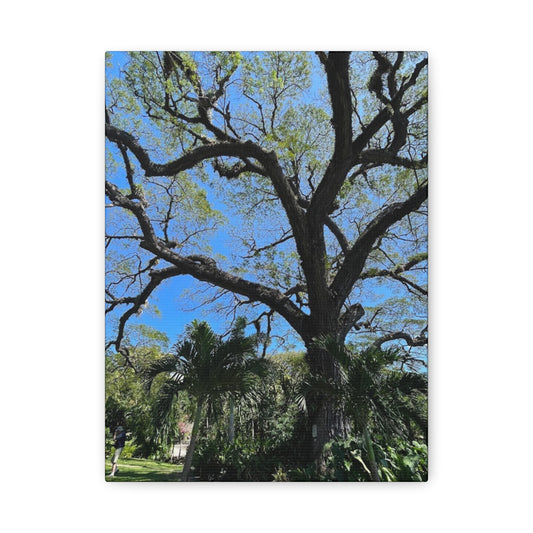 Nature-Inspired Stretched Canvas Art - Large Tree Print