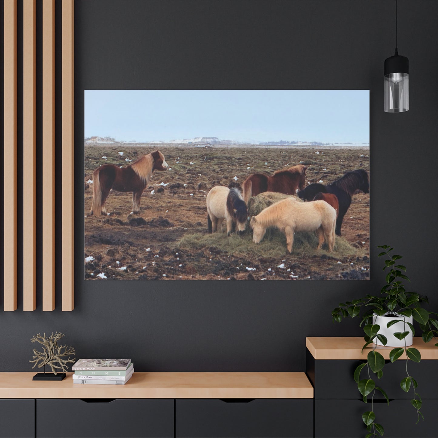 Icelandic Horse Canvas Art - Matte Stretched Print for Animal Lovers