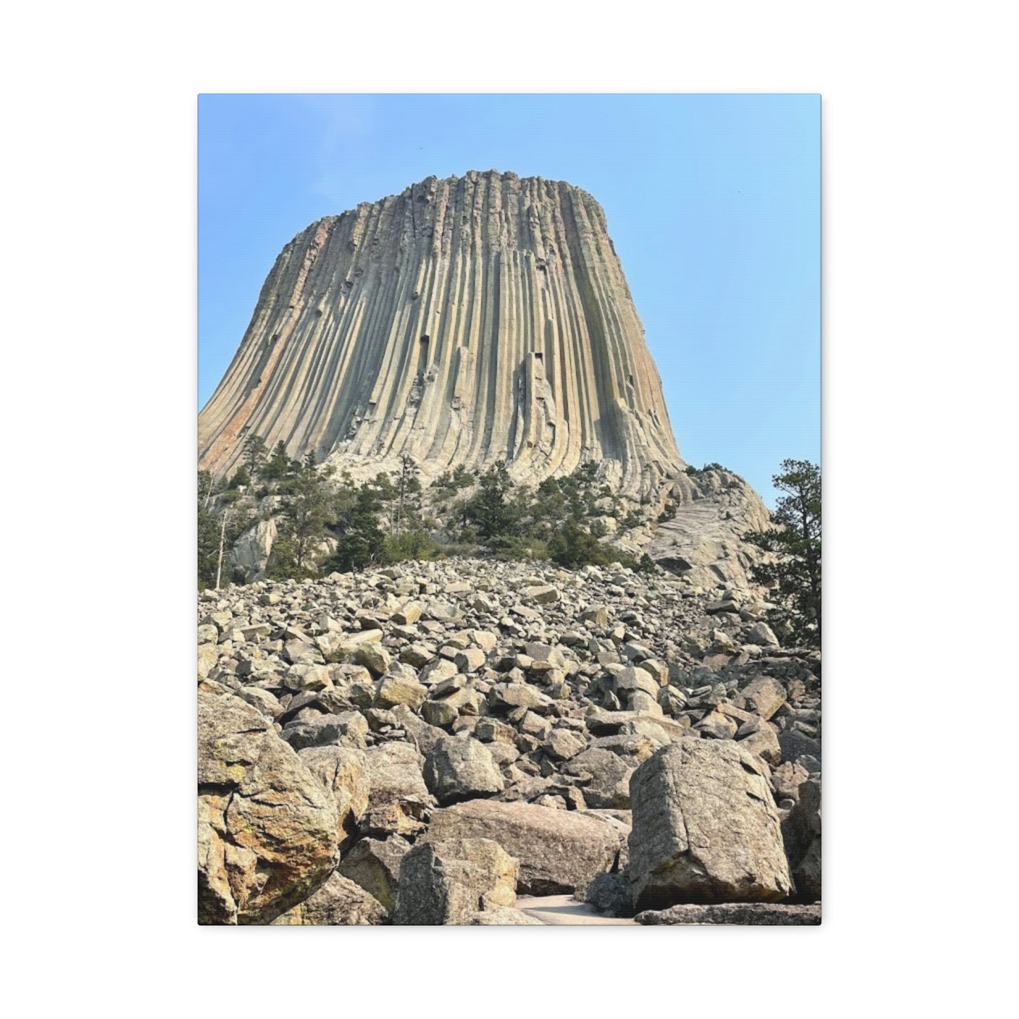Nature Art Canvas Print - Majestic Rock Formation Devil's Tower