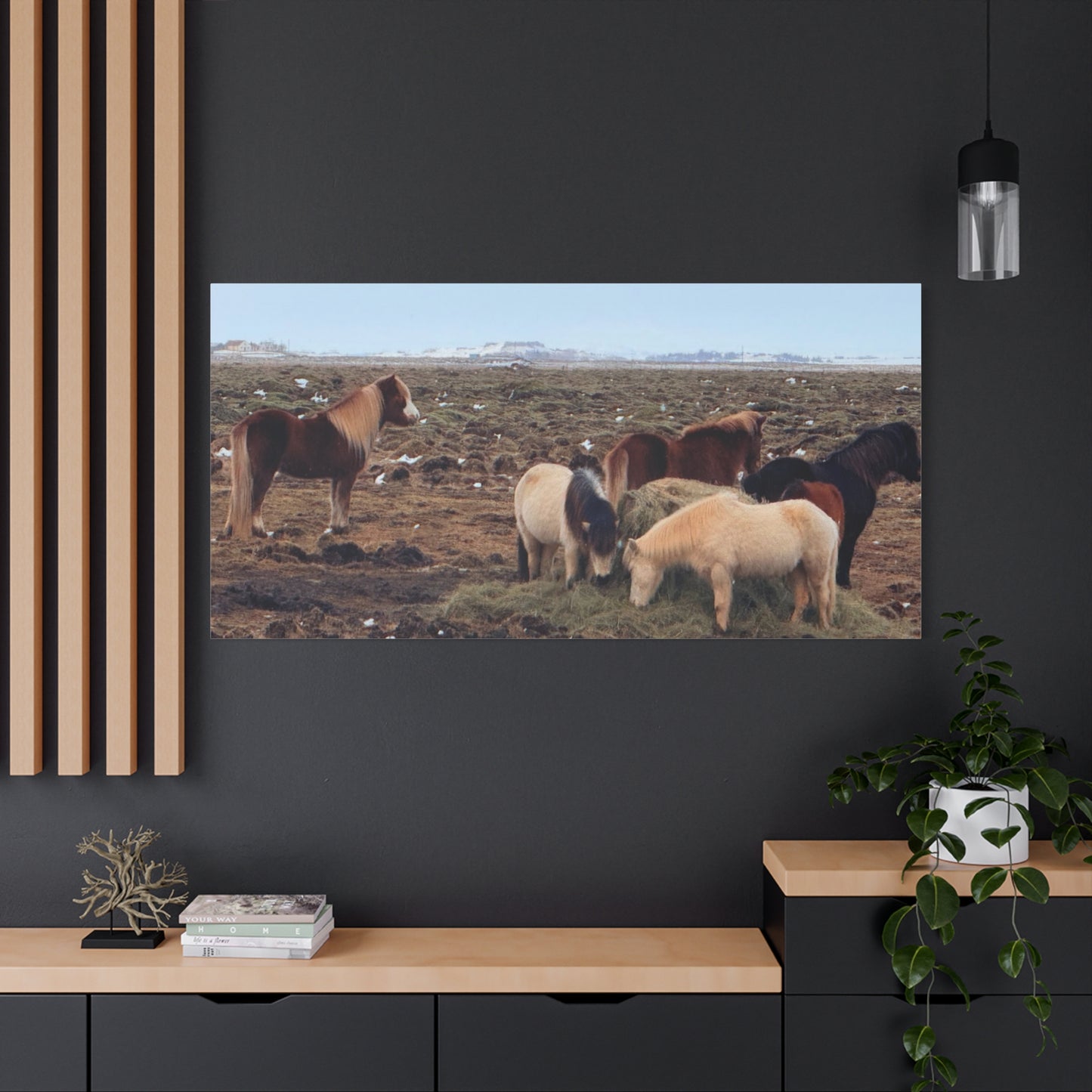 Icelandic Horse Canvas Art - Matte Stretched Print for Animal Lovers