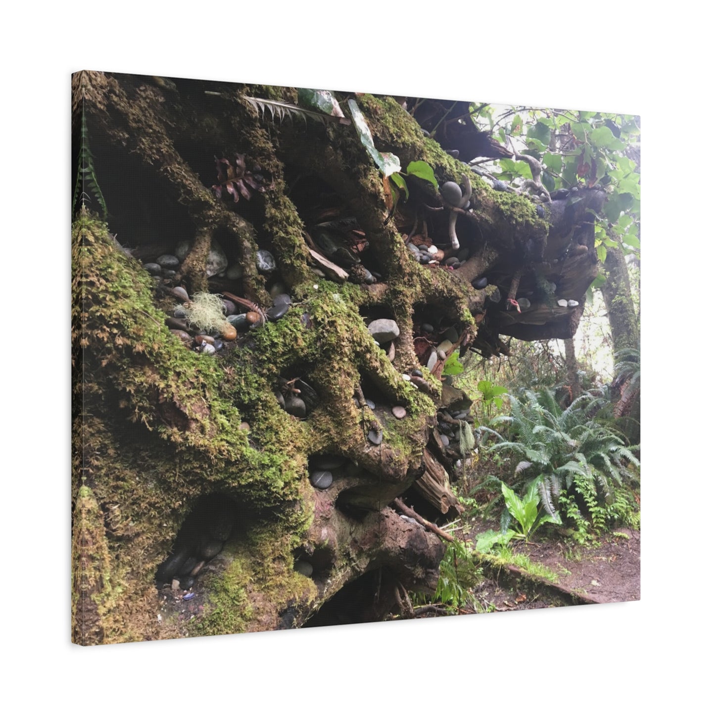 Nature-Inspired Stretched Canvas Art: Enchanted Forest Vibes