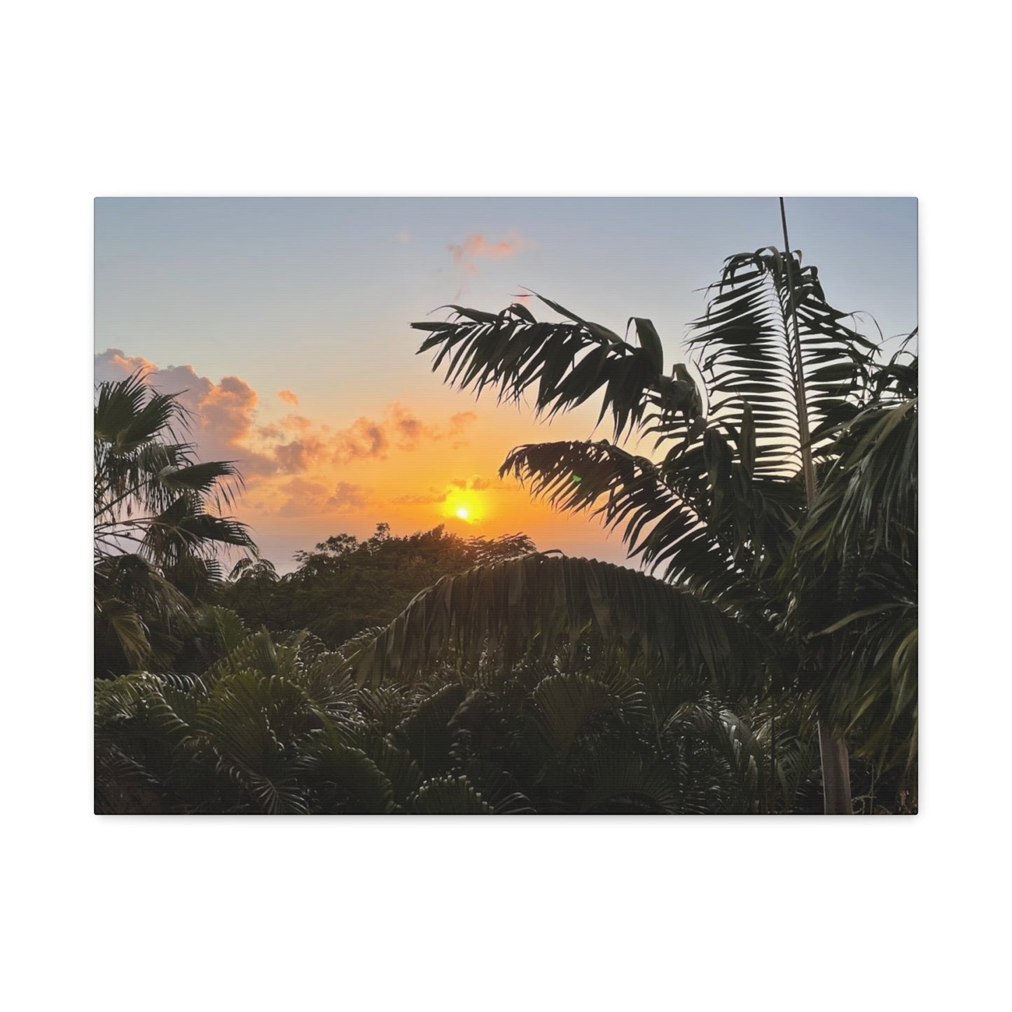Tropical Sunset Matte Canvas - 12x16 Stretched Wall Art