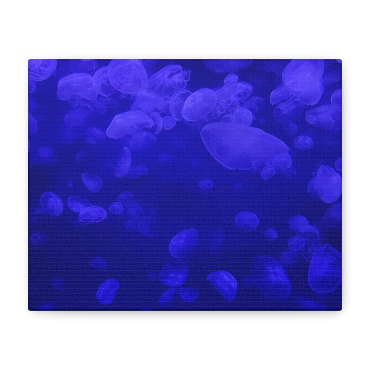 Jellyfish Watercolor Canvas Art - Ocean Theme Wall Decor