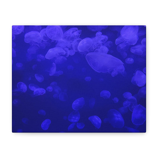 Jellyfish Watercolor Canvas Art - Ocean Theme Wall Decor