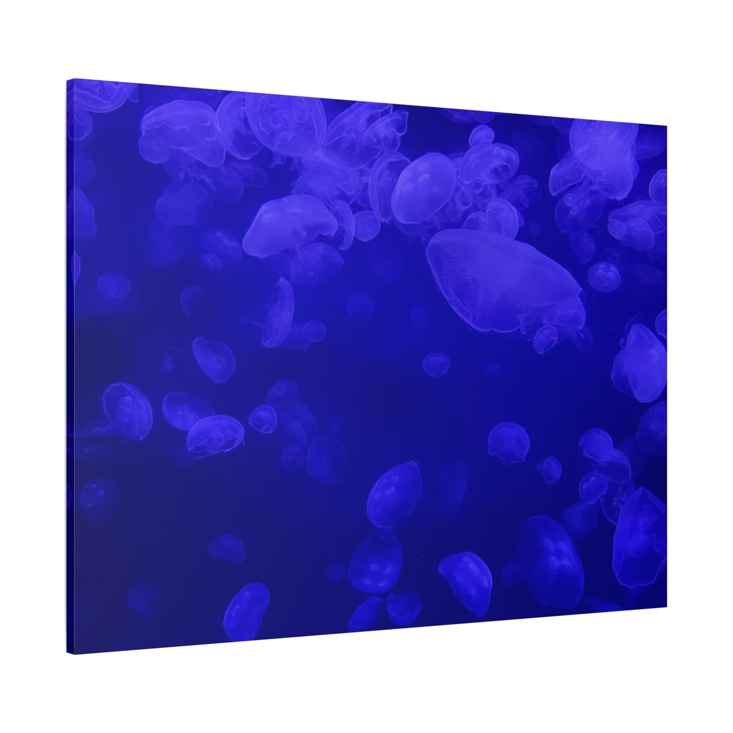 Jellyfish Watercolor Canvas Art - Ocean Theme Wall Decor